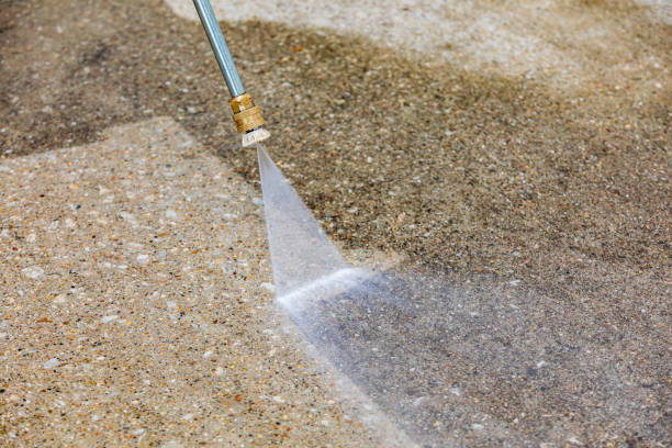 Best Pre-Holiday Cleaning  in Hudson, TX